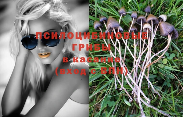 спиды Мегион